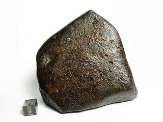 Nwa X Meteorite 682g Big Bambucha
