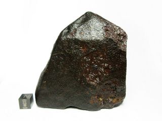 NWA x Meteorite 682g Big Bambucha 2