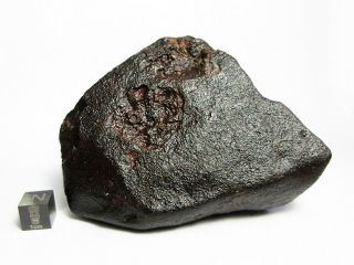 NWA x Meteorite 682g Big Bambucha 4