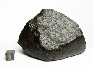 NWA x Meteorite 682g Big Bambucha 5