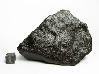 NWA x Meteorite 682g Big Bambucha 6