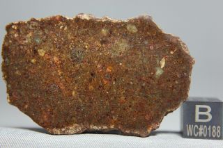 Nwa 10496 Ll3 Chondrite Meteorite 11.  6 Gram Complete Slice