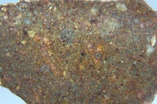 NWA 10496 LL3 Chondrite Meteorite 11.  6 gram complete slice 2