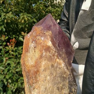 6980g Natural Amethyst Specimen Crystal Stone Quartz Healing 5