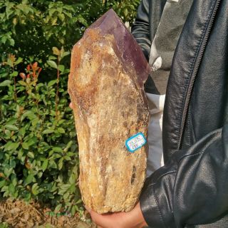 6980g Natural Amethyst Specimen Crystal Stone Quartz Healing 6