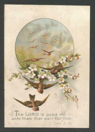 D42 - Victorian Religious Scripture Motto Card - Flying Birds And Blossom