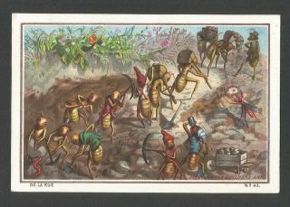 W27 - The Great Builders Ants - De La Rue Series No 43 - Victorian Card - 1877