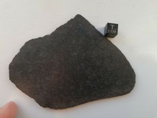 Meteorite NWA,  ureilite,  huge full slice 61 grams 2