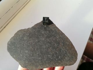 Meteorite NWA,  ureilite,  huge full slice 61 grams 3