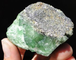 854ct Green Grossular TSAVORITE XXL Crystal - Merelani Hills,  Tanzania 11