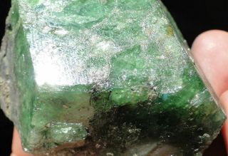 854ct Green Grossular TSAVORITE XXL Crystal - Merelani Hills,  Tanzania 12