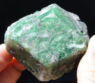854ct Green Grossular TSAVORITE XXL Crystal - Merelani Hills,  Tanzania 4
