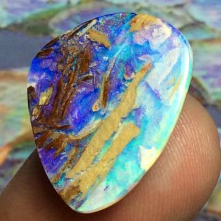 14.  50ct Gem Quality Australian Boulder Pipe Opal Opalized Wood Fossil Gem Video