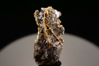 UNIQUE Native Gold in Sphalerite & Galena PANAMINT,  CALIFORNIA 11