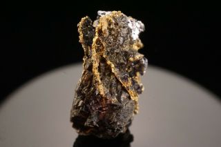 UNIQUE Native Gold in Sphalerite & Galena PANAMINT,  CALIFORNIA 5