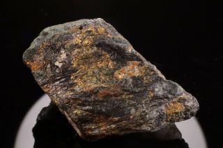 Classic Native Gold With Arsenopyrite Homestake Mine,  South Dakota