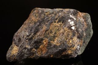 CLASSIC Native Gold with Arsenopyrite HOMESTAKE MINE,  SOUTH DAKOTA 2