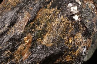 CLASSIC Native Gold with Arsenopyrite HOMESTAKE MINE,  SOUTH DAKOTA 3