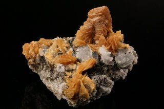 Rare Roweite With Olshanskyite Crystal Inner Mongolia,  China