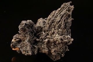 UNIQUE Acanthite after Native Silver Wires HIMMELSFURST,  GERMANY - Ex.  Robertson 2