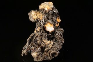 UNIQUE Acanthite after Native Silver Wires HIMMELSFURST,  GERMANY - Ex.  Robertson 3