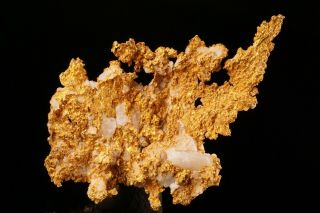 UNIQUE Native Gold with Quartz ENTERPRISE,  CALIFORNIA 2