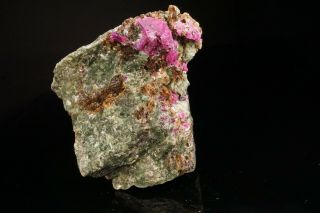 EXTRAORDINARY Ruby Crystal & Diopside,  Dravite,  & Phlogopite JERSEY - Ex Ellis 12