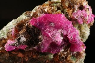 EXTRAORDINARY Ruby Crystal & Diopside,  Dravite,  & Phlogopite JERSEY - Ex Ellis 2