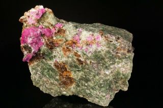 EXTRAORDINARY Ruby Crystal & Diopside,  Dravite,  & Phlogopite JERSEY - Ex Ellis 4