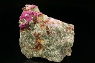 EXTRAORDINARY Ruby Crystal & Diopside,  Dravite,  & Phlogopite JERSEY - Ex Ellis 5