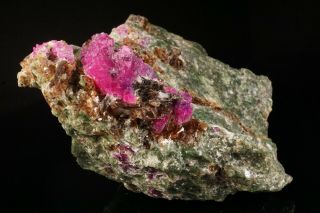 EXTRAORDINARY Ruby Crystal & Diopside,  Dravite,  & Phlogopite JERSEY - Ex Ellis 6