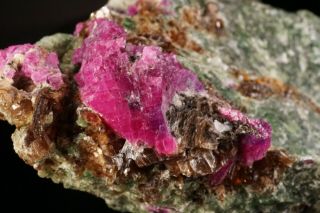 EXTRAORDINARY Ruby Crystal & Diopside,  Dravite,  & Phlogopite JERSEY - Ex Ellis 7