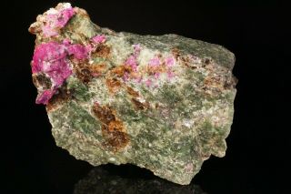EXTRAORDINARY Ruby Crystal & Diopside,  Dravite,  & Phlogopite JERSEY - Ex Ellis 9