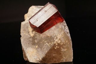 EXTRAORDINARY Gem Rubellite Tourmaline Crystal on Quartz MALKHAN,  RUSSIA 10