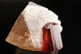 EXTRAORDINARY Gem Rubellite Tourmaline Crystal on Quartz MALKHAN,  RUSSIA 11