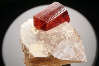 Extraordinary Gem Rubellite Tourmaline Crystal On Quartz Malkhan,  Russia