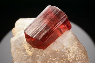 EXTRAORDINARY Gem Rubellite Tourmaline Crystal on Quartz MALKHAN,  RUSSIA 2