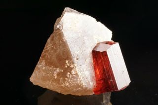 EXTRAORDINARY Gem Rubellite Tourmaline Crystal on Quartz MALKHAN,  RUSSIA 3