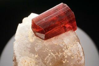 EXTRAORDINARY Gem Rubellite Tourmaline Crystal on Quartz MALKHAN,  RUSSIA 6