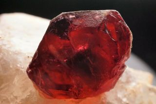 EXTRAORDINARY Gem Rubellite Tourmaline Crystal on Quartz MALKHAN,  RUSSIA 7