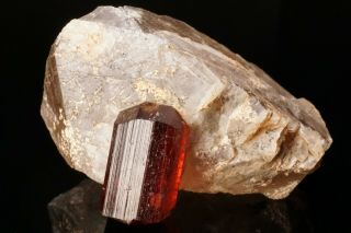 EXTRAORDINARY Gem Rubellite Tourmaline Crystal on Quartz MALKHAN,  RUSSIA 8