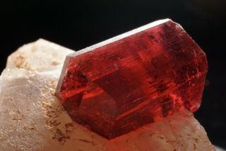EXTRAORDINARY Gem Rubellite Tourmaline Crystal on Quartz MALKHAN,  RUSSIA 9