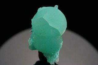 CLASSIC Blue - Green Smithsonite Crystal - KELLY MINE,  MEXICO 7