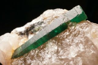 CLASSIC Emerald Beryl Crystal on Quartz CARNAIBA,  BRAZIL 11