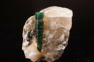 CLASSIC Emerald Beryl Crystal on Quartz CARNAIBA,  BRAZIL 12