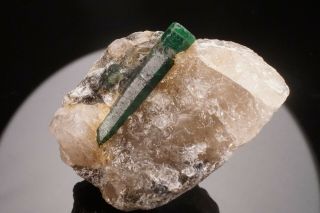 CLASSIC Emerald Beryl Crystal on Quartz CARNAIBA,  BRAZIL 2