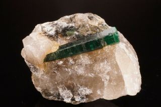 CLASSIC Emerald Beryl Crystal on Quartz CARNAIBA,  BRAZIL 4