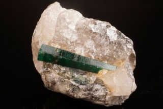CLASSIC Emerald Beryl Crystal on Quartz CARNAIBA,  BRAZIL 5
