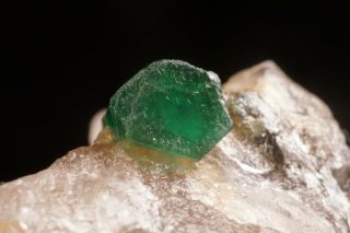 CLASSIC Emerald Beryl Crystal on Quartz CARNAIBA,  BRAZIL 6