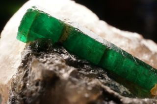 CLASSIC Emerald Beryl Crystal on Quartz CARNAIBA,  BRAZIL 7